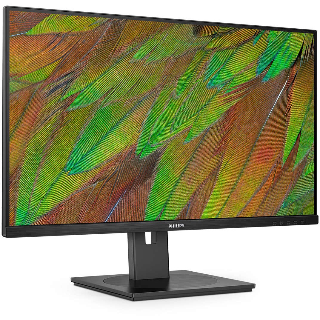  81.3 cm (32")