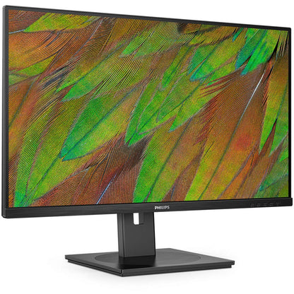  81.3 cm (32")