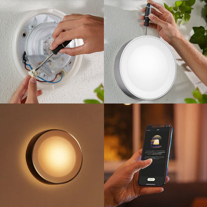 Philips Hue White and colour ambience Daylo Outdoor wall light