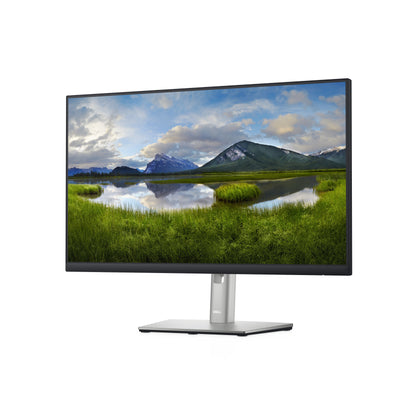 DELL P Series 24 Monitor - P2422H